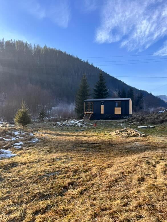 Мріяти Apartment Krivorovnya Luaran gambar